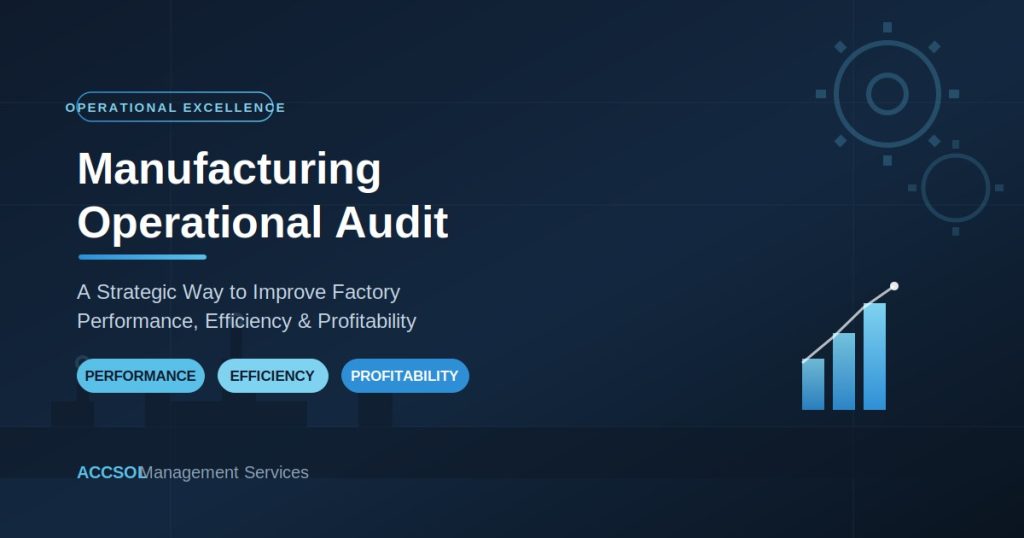 Manufacturing Operational Audit